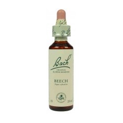 Fleur de Bach Originale   Beech-Hêtre  N°3 Fugus sylvatica 20 ML