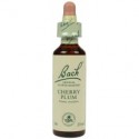 Fleur de Bach Originale   Cherry Plum-Prunier Myrobolan/PRUNUS N°6 Prunus cerasifera 20 ML