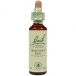 Fleur de Bach  Originale   Chesnut Bud/Bourgeon de marronier  N°7 Æsculus hippocastanum 20 ML