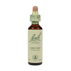 Fleur de Bach  Originale   Chicory-Chicorée  N°8 Cichorium intybus 20 ML