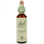 Fleur de Bach Originale  Clematis-Clématite N°9 Clematis vitalba 20 ML