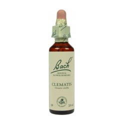 Fleur de Bach Originale  Clematis-Clématite N°9 Clematis vitalba 20 ML