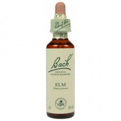  Fleur de Bach Originale Elm-Orme  N°11 Ulmus procera 20 ML