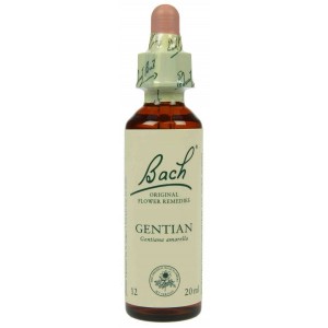 https://www.lherberie.com/1210-thickbox/fleurs-de-bach-original-gentian-gentiane-n12-20-ml.jpg