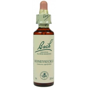 https://www.lherberie.com/1218-thickbox/fleur-de-bach-originale-honeysuckle-chevrefeuille-n-16-lonicera-caprifolium-20-ml.jpg