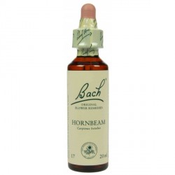 Fleur de Bach  Originale  Hornbeam-Le Charme  N°17 Carpinus betulus 20 ML