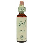 Fleur de Bach  Originale  Larch/Mélèze  N°19 Larix decidua 20 ML