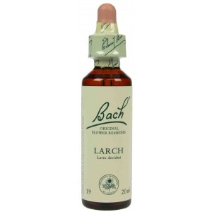 https://www.lherberie.com/1224-thickbox/fleur-de-bach-originale-larch-meleze-n19-larix-decidua-20-ml.jpg