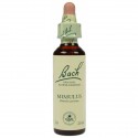 Fleur de Bach  Originale  Mimulus-Mimule  N°20 Mimulus guttatus 20 ML