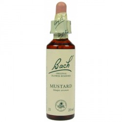 Fleur de Bach  Originale  Mustard-Moutarde  N°21 Sinapis arvensis 20 ML