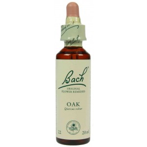 https://www.lherberie.com/1230-thickbox/fleur-de-bach-originale-oak-chene-n22-quercus-robur-20-ml.jpg