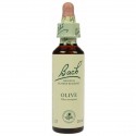 Fleur de Bach  Originale  Olive-Olivier  N°23 Olea europaea 20 ML