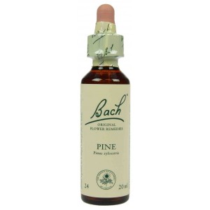 https://www.lherberie.com/1234-thickbox/fleur-de-bach-originale-pine-pin-sylvestre-n24-pinus-sylvestris-20-ml.jpg