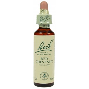 https://www.lherberie.com/1236-thickbox/fleur-de-bach-originale-red-chestnut-marronnier-rouge-n25-aesculus-carnea-20-ml.jpg