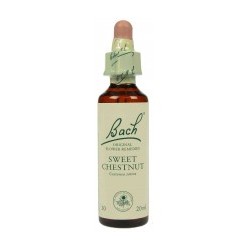 Fleur de Bach  Originale  Sweet Chestnut-Châtaignier  N°30 Castanea sativa 20 ML