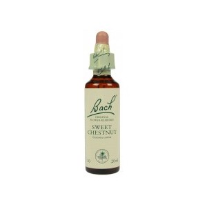 https://www.lherberie.com/1244-thickbox/fleur-de-bach-originale-sweet-chestnut-chataignier-n30-castanea-sativa-20-ml.jpg