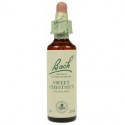 Fleur de Bach  Originale  Sweet Chestnut-Châtaignier  N°30 Castanea sativa 20 ML