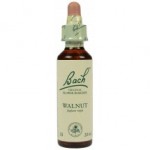 Fleur de Bach Originale Walnut N°33 Le Noyer ( Juglans regia) 20 ml