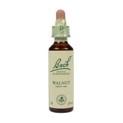 Fleur de Bach Originale Walnut N°33 Le Noyer ( Juglans regia) 20 ml