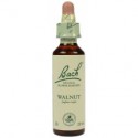 Fleur de Bach Originale Walnut N°33 Le Noyer ( Juglans regia) 20 ml