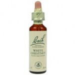 Fleur de Bach  Originale   White Chesnut-Marronnier Blanc  N°35 Aesculus hippocastanum  20 ML