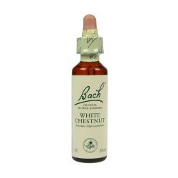 Fleur de Bach  Originale   White Chestnut-Marronnier Blanc  N°35 Aesculus hippocastanum  20 ML