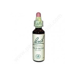 https://www.lherberie.com/1265-thickbox/fleur-de-bach-originale-wild-rose-eglantine-n37-rosa-canina-20-ml.jpg