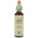 Fleur de Bach  Originale   Gorse/Ajonc  N°13 Ulex europaeus 20 ML