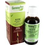 Aulne (Alnus glutinosa) BIO, bourgeon, Herbalgem