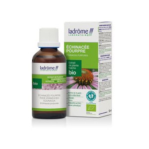 https://www.lherberie.com/1468-thickbox/echinacee-pourpre-echinacea-purpurea-ladrome.jpg