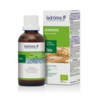 GINSENG/Panax ginseng  LADRÔME