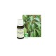 HE CANNELIER DE CHINE BIO (Cinnamomum cassia) 10ml PRANAROM