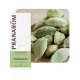 HE CARDAMOME (Eletaria cardamomum) 5ml Pranarom