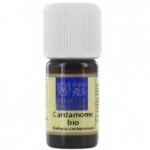 HE CARDAMOME (Eletaria cardamomum) bio 5ml Herbes et traditions