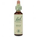 Fleur de Bach Originale   Beech-Hêtre  N°3 Fugus sylvatica 20 ML