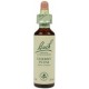 Fleur de Bach Originale   Cherry Plum/Prunier Myrobolan/PRUNUS N°6 Prunus cerasifera 20 ML