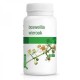 BOSWELLIA - 120 gélules PURASANA