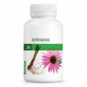 Echinacea Bio - 120 gélules PURASANA