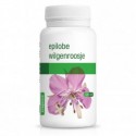 EPILOBE BIO - 120 GÉLULES  PURASANA