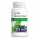 MYRTILLE BIO PURASANA (120 gélules)