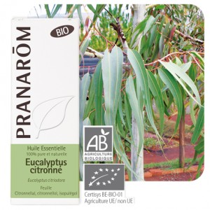 https://www.lherberie.com/1879-thickbox/eucalyptus-citronne-bio-10-ml-pranarom-huile-essentielle.jpg