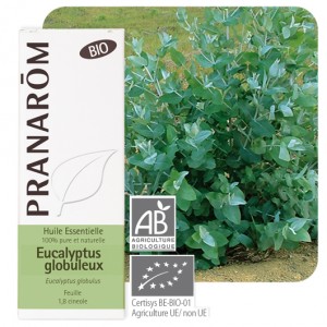 https://www.lherberie.com/1881-thickbox/eucalyptus-globuleux-bio-10-ml-pranarom-huile-essentielle.jpg