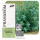 EUCALYPTUS GLOBULEUX BIO 10 ML Pranarôm Huile Essentielle