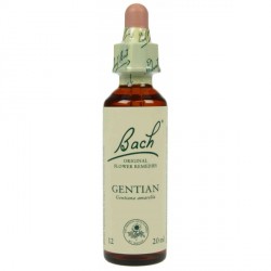 Fleurs de bach Original  Gentian-Gentiane  N°12 -20 ML