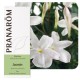 JASMIN 5 ML Pranarôm Huile Essentielle