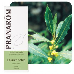 LAURIER NOBLE 5 ML Pranarôm Huile Essentielle