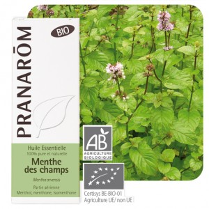 https://www.lherberie.com/1916-thickbox/menthe-des-champs-bio-10-ml-pranarom-huile-essentielle.jpg