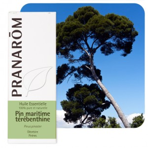 https://www.lherberie.com/1938-thickbox/pin-maritime-terebenthine-10-ml-pranarom-huile-essentielle.jpg