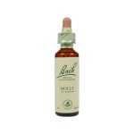 Fleur de Bach  Original  Holly  N° 15 Le Houx (Ilex aquifolium) 20 ML