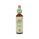 Fleur de Bach  Original  Holly  N° 15 Le Houx (Ilex aquifolium) 20 ML